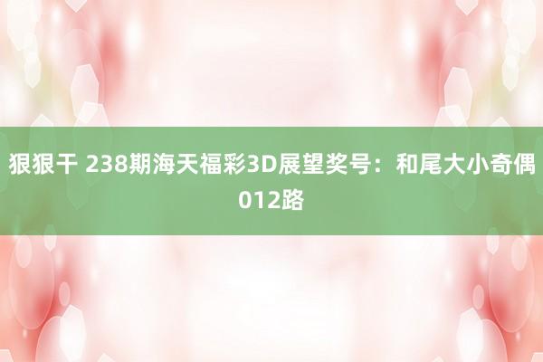 狠狠干 238期海天福彩3D展望奖号：和尾大小奇偶012路