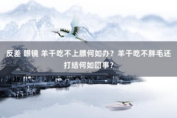 反差 眼镜 羊干吃不上膘何如办？羊干吃不胖毛还打结何如回事？