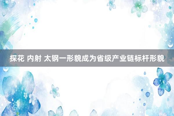 探花 内射 太钢一形貌成为省级产业链标杆形貌