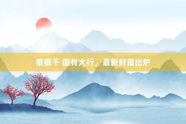 狠狠干 国有大行，最新财报出炉