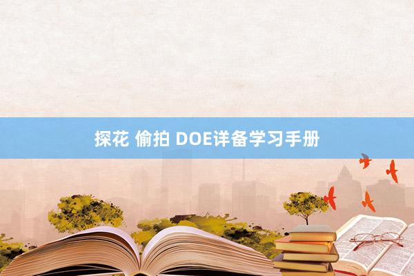 探花 偷拍 DOE详备学习手册