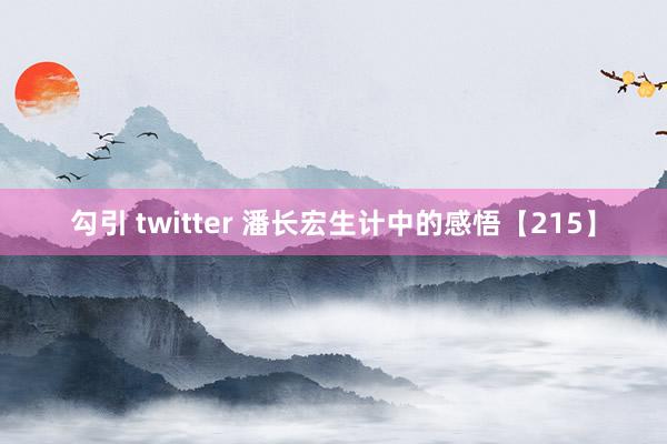 勾引 twitter 潘长宏生计中的感悟【215】
