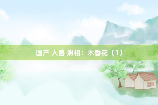国产 人兽 照相：木香花（1）